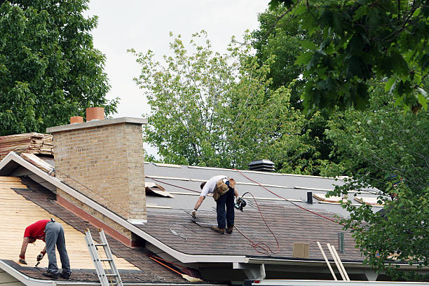 Best Roof Gutter Cleaning  in Bridgeport, TX