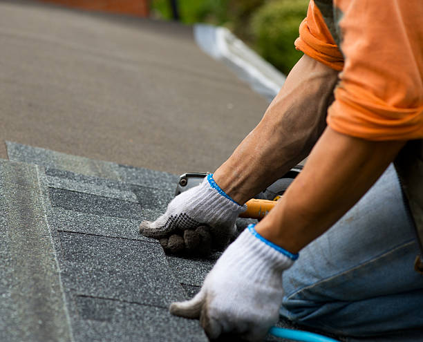 Best Metal Roofing Contractor  in Bridgeport, TX